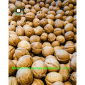 Chinese Walnut Kernels Light Pieces Handhelling (LP)